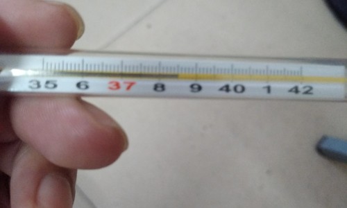 猴胶怎么吃最有效-【猴胶的副作用】猴胶的用法 - 猴胶的功效和细怎样吃法网